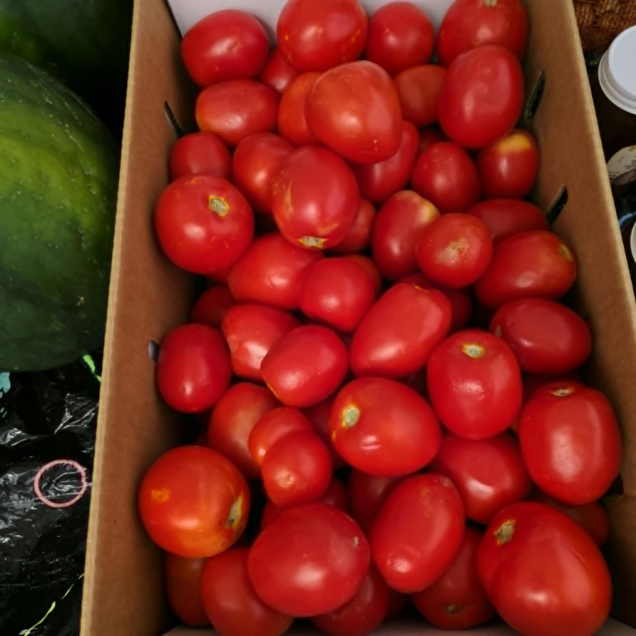 Fresh tomatoes